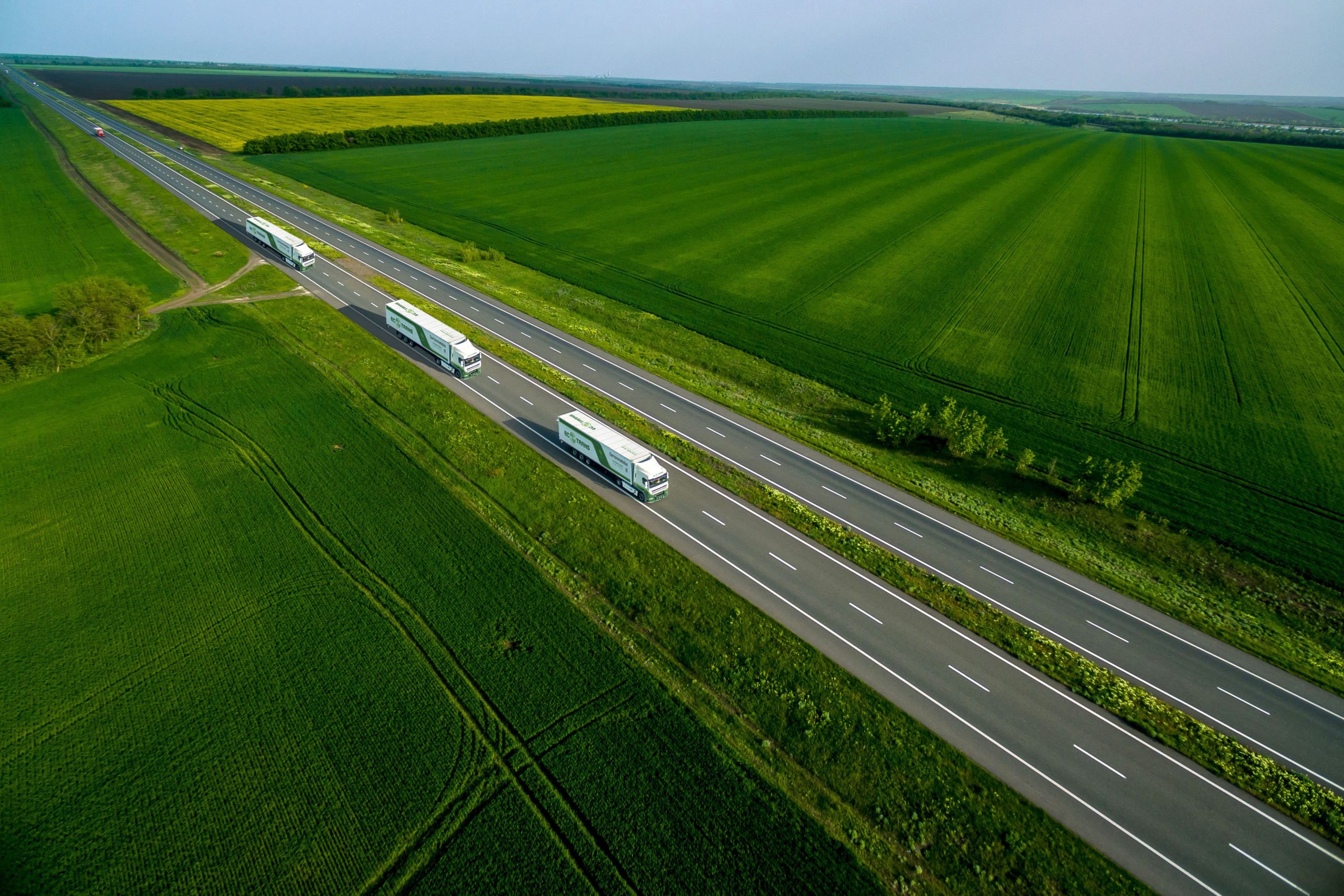 Lee más sobre el artículo Transporte ecológico por carretera: Soluciones sostenibles para una logística eficiente