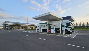 Lee más sobre el artículo 